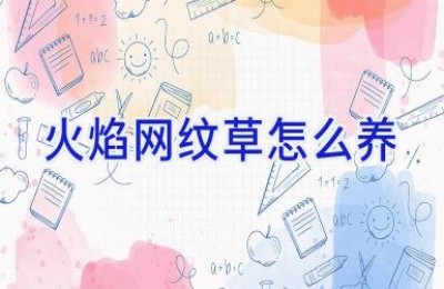 火焰网纹草怎么养