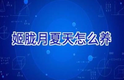 姬胧月夏天怎么养