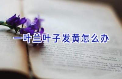 一叶兰叶子发黄怎么办