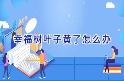 幸福树叶子黄了怎么办