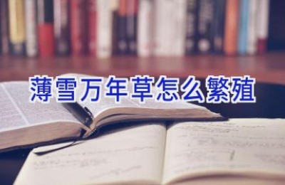 薄雪万年草怎么繁殖