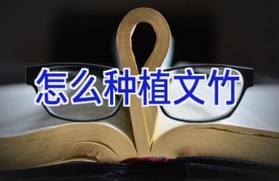 怎么种植文竹
