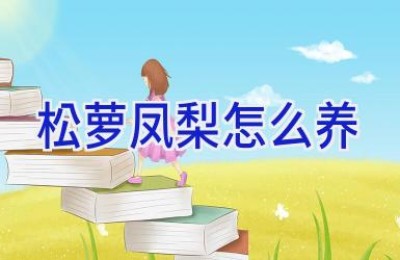 松萝凤梨怎么养