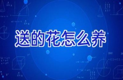 送的花怎么养