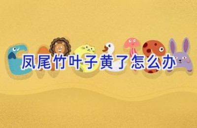 凤尾竹叶子黄了怎么办