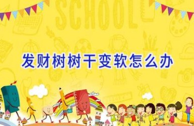 发财树树干变软怎么办