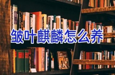 皱叶麒麟怎么养