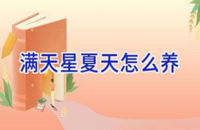 满天星夏天怎么养