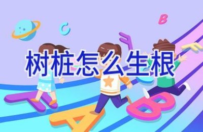 树桩怎么生根