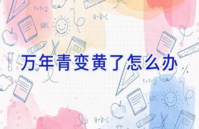 万年青变黄了怎么办