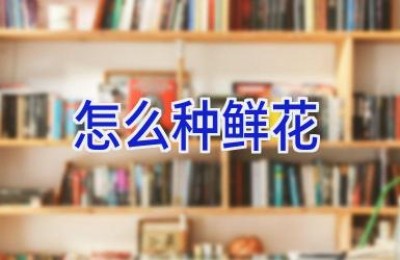 怎么种鲜花