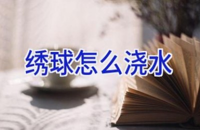 绣球怎么浇水