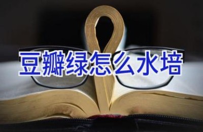 豆瓣绿怎么水培