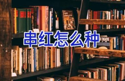 串红怎么种