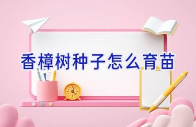 香樟树种子怎么育苗