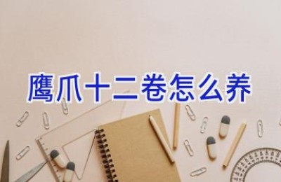 鹰爪十二卷怎么养