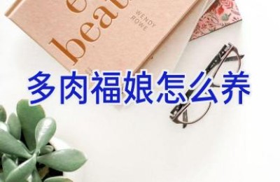 多肉福娘怎么养