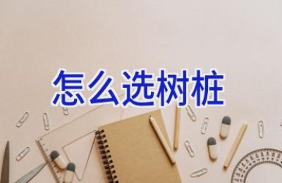 怎么选树桩