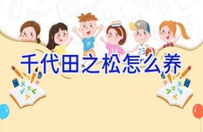 千代田之松怎么养