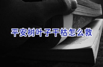 平安树叶子干枯怎么救