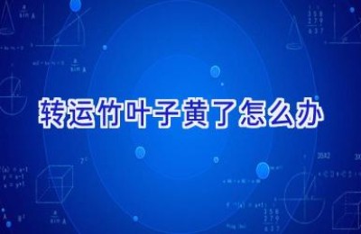 转运竹叶子黄了怎么办