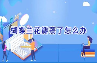 蝴蝶兰花瓣蔫了怎么办