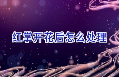 红掌开花后怎么处理