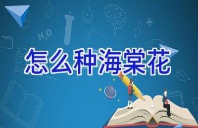 怎么种海棠花