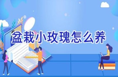 盆栽小玫瑰怎么养