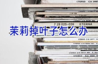 茉莉掉叶子怎么办