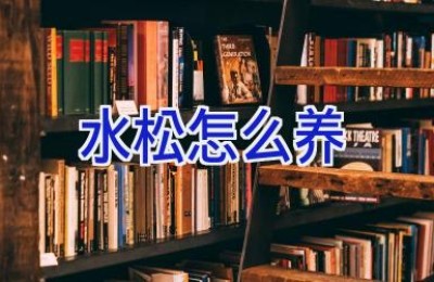 水松怎么养
