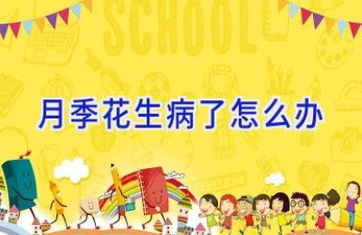 月季花生病了怎么办