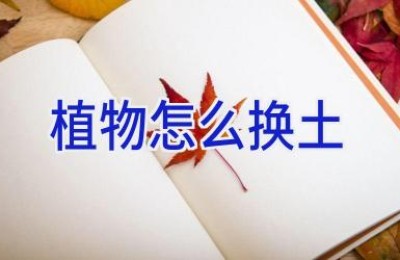 植物怎么换土