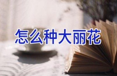 怎么种大丽花