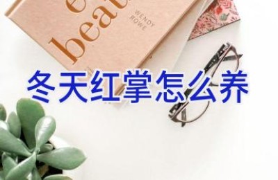 冬天红掌怎么养