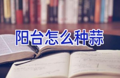 阳台怎么种蒜