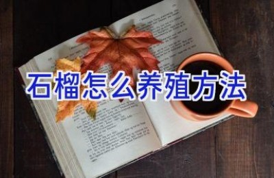 石榴怎么养殖方法