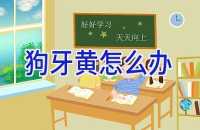狗牙黄怎么办