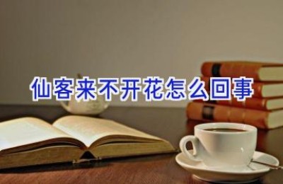 仙客来不开花怎么回事
