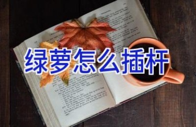 绿萝怎么插杆