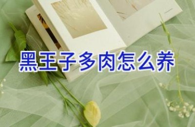 黑王子多肉怎么养