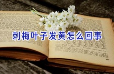 刺梅叶子发黄怎么回事
