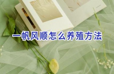 一帆风顺怎么养殖方法