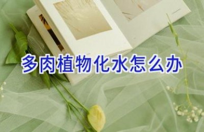多肉植物化水怎么办