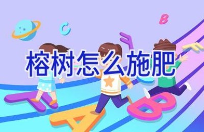 榕树怎么施肥