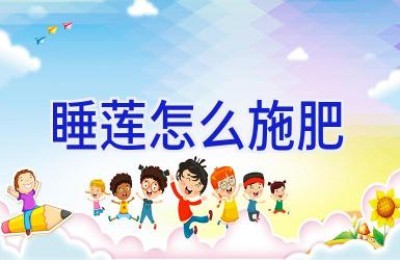 睡莲怎么施肥