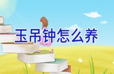 玉吊钟怎么养