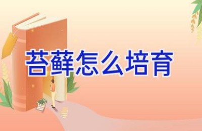 苔藓怎么培育