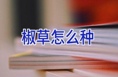 椒草怎么种