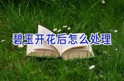 碧玉开花后怎么处理